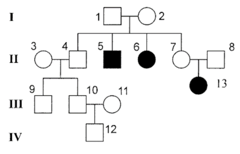 Stammbaum (Pedigree) mit vier Generationen, nummerierten Personen; einige Kreise/Quadrate sind schwarz markiert.